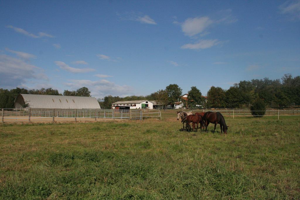 Agriturismo Fano'S Farm Suno Exteriör bild